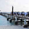 holiday
