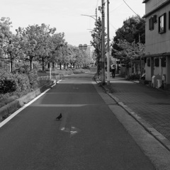 そう、左折のみ。