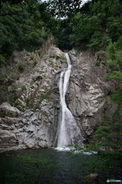 布引の滝・雄滝