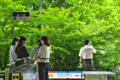 女子旅