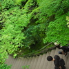 雨あがり