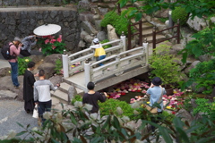 華の池