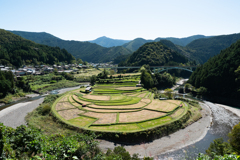 あらぎ島