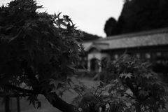 廃校4