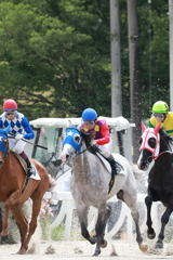 笠松競馬