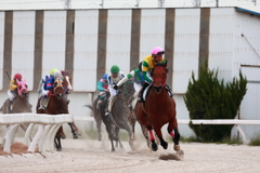 笠松競馬