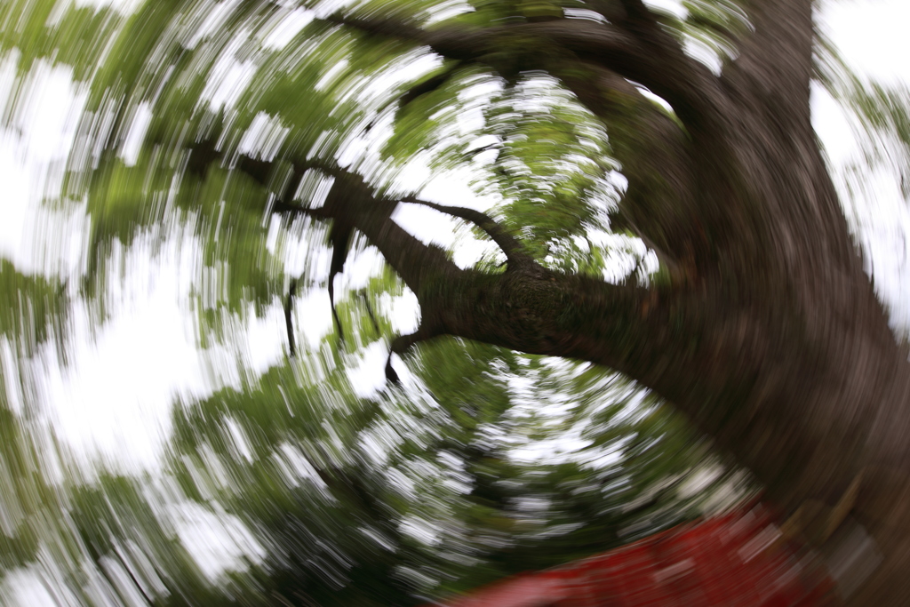 八幡神社　広角単焦点を借りてみる