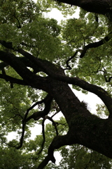 八幡神社　プラナーにて