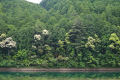 旅の途中にて