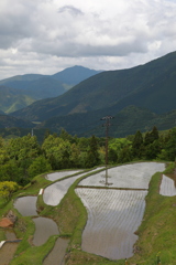 丸山千枚田