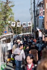 宮川朝市5