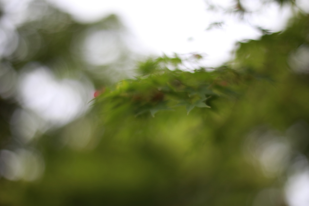 八幡神社　どうしてこうなったw