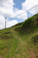 丸山千枚田