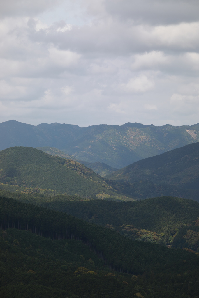 丸山千枚田