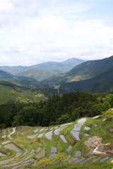 丸山千枚田