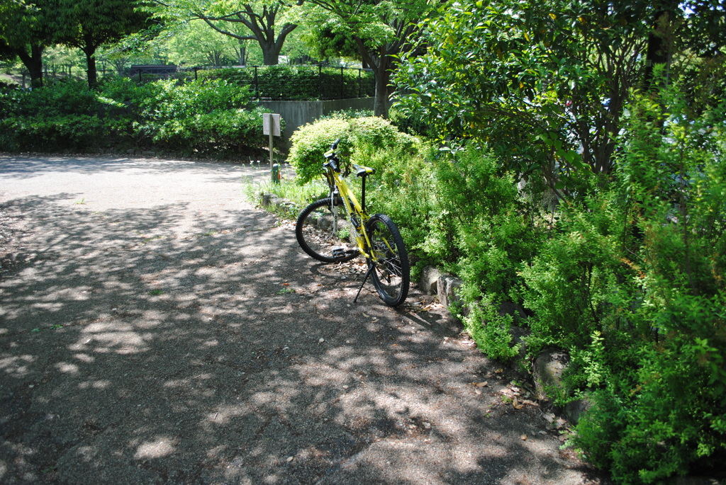 5月の舞岡公園