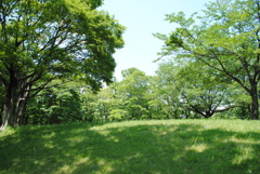 ５月の舞岡公園