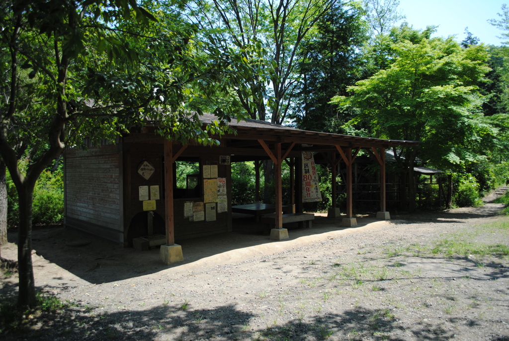 5月の舞岡公園