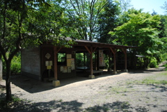 5月の舞岡公園