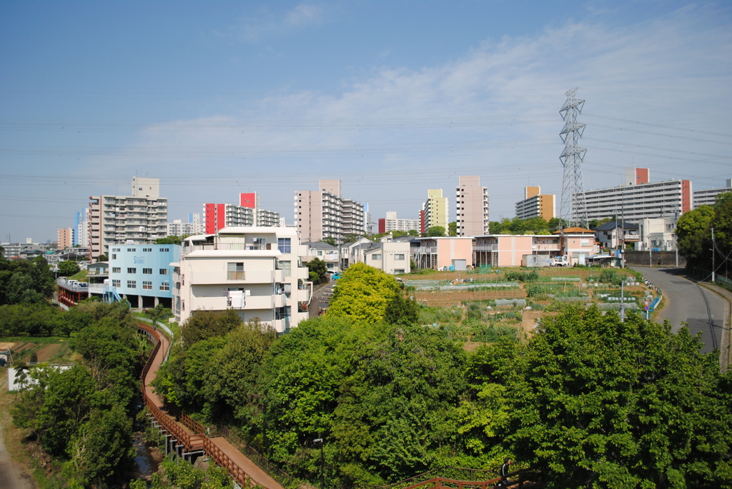 5月の舞岡公園