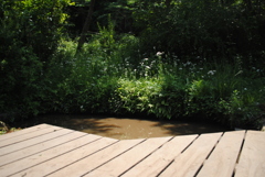 5月の舞岡公園