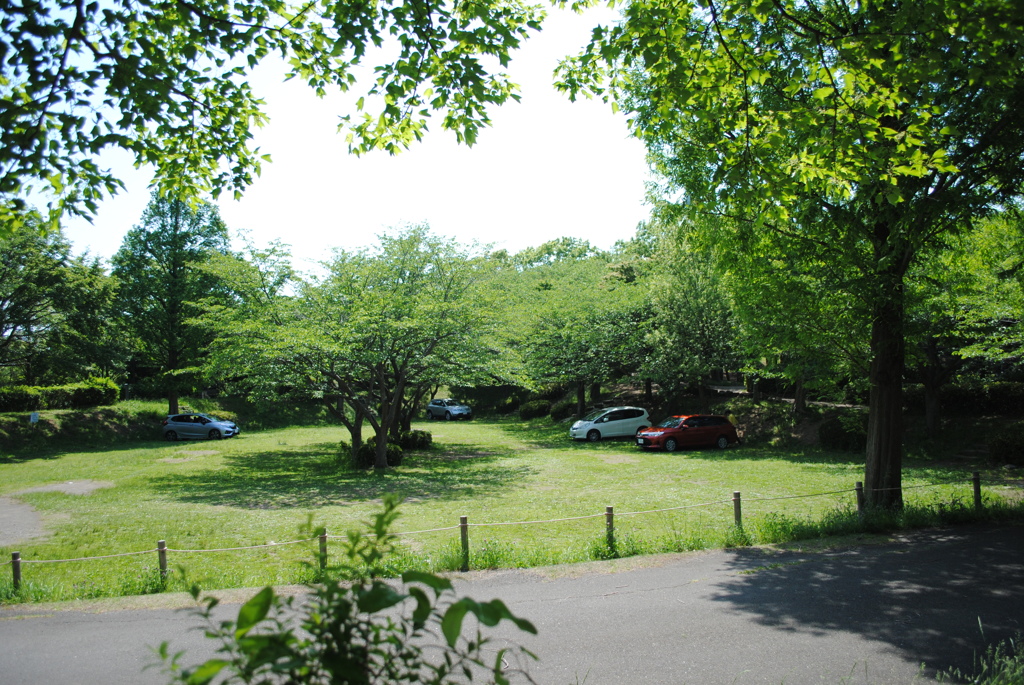5月の舞岡公園