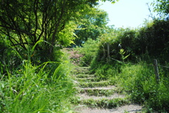 5月の舞岡公園