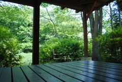 5月の舞岡公園