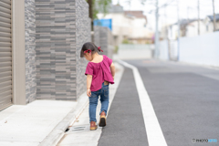 お散歩道