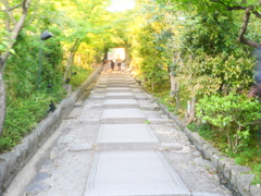 03BB3A7B-29A9-4C56-8C72-757D51B938CF