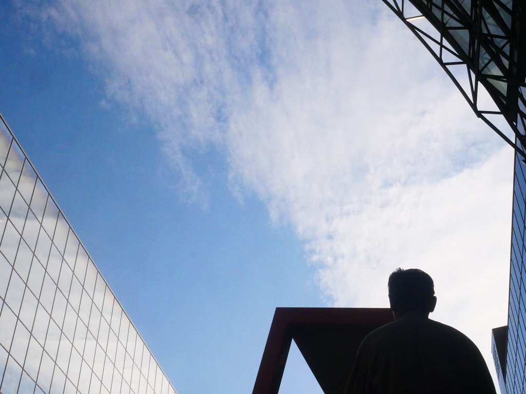 To the sky
