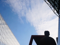 To the sky