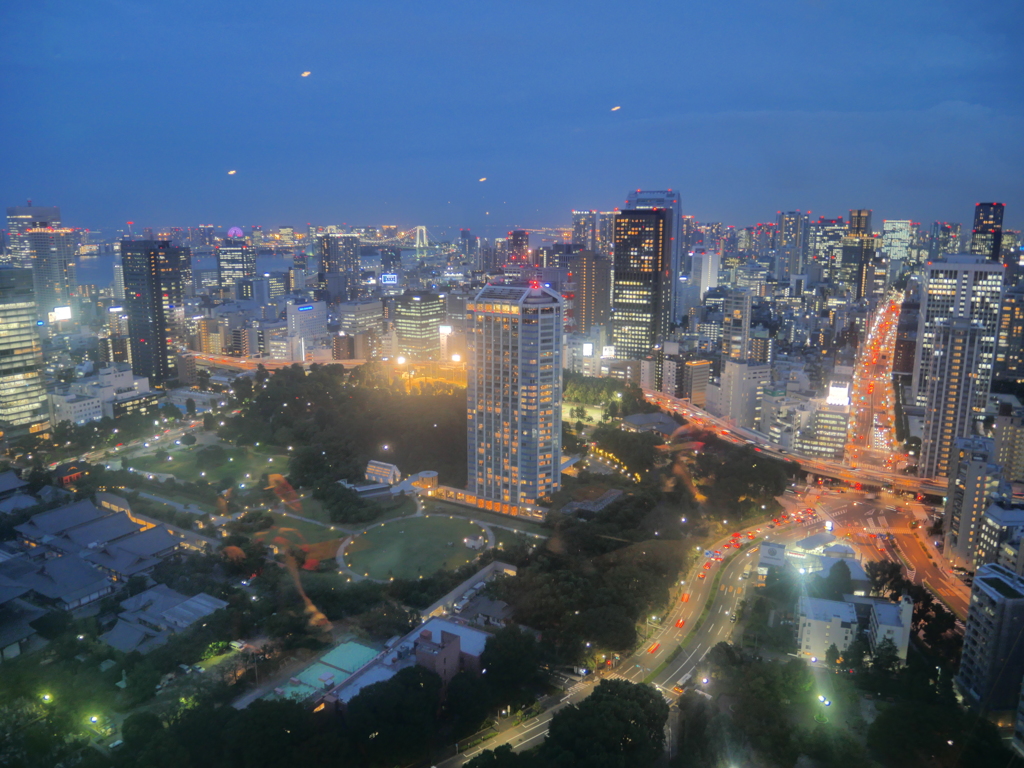 東京タワーからの夜景