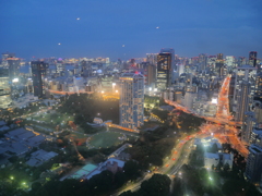 東京タワーからの夜景