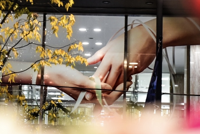 Window shopping