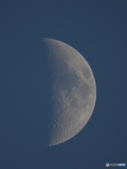 2019.5.11の月