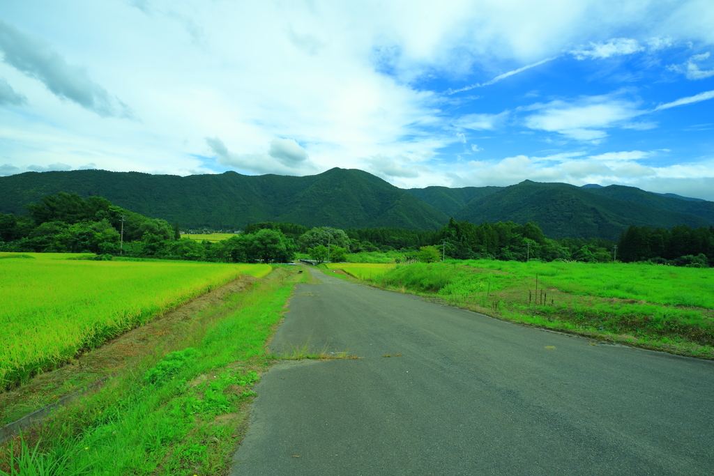 福島　田舎道