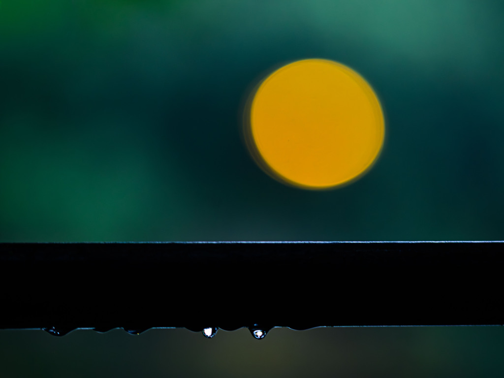 名月の涙?（Nikkor 千夜一夜物語 第十夜　その３）