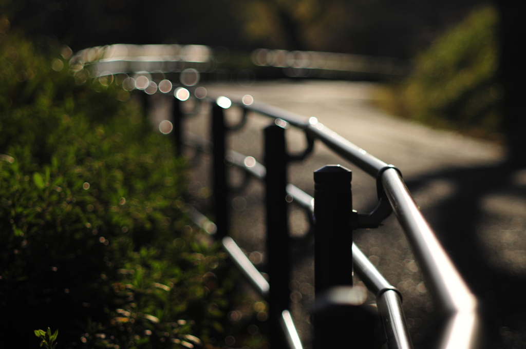 晩秋の夕暮れ散歩