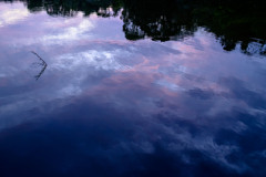 朝焼け映す古池 (Nikkor 千夜一夜物語 第二十四夜 その1) 朝焼け映す古池 (Nikkor 千夜一夜物語 第二十四夜 その1)