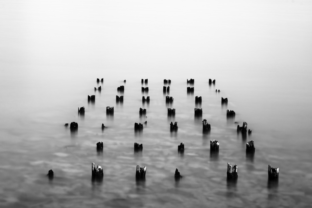 41/42