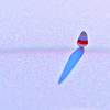 虹を渡る雪童子