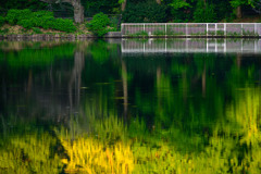 秋の匂いがやってくる(Nikkor 千夜一夜物語 第七十夜　その１）