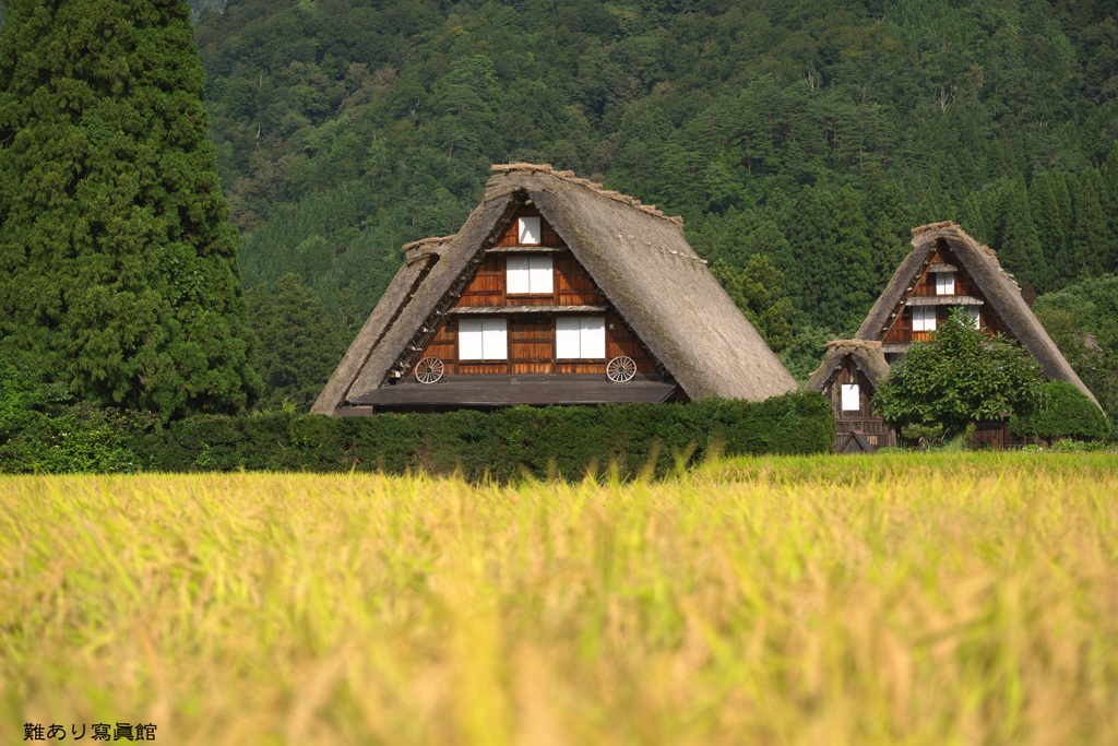 里山に稔りの秋