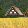 里山に稔りの秋