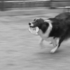Run