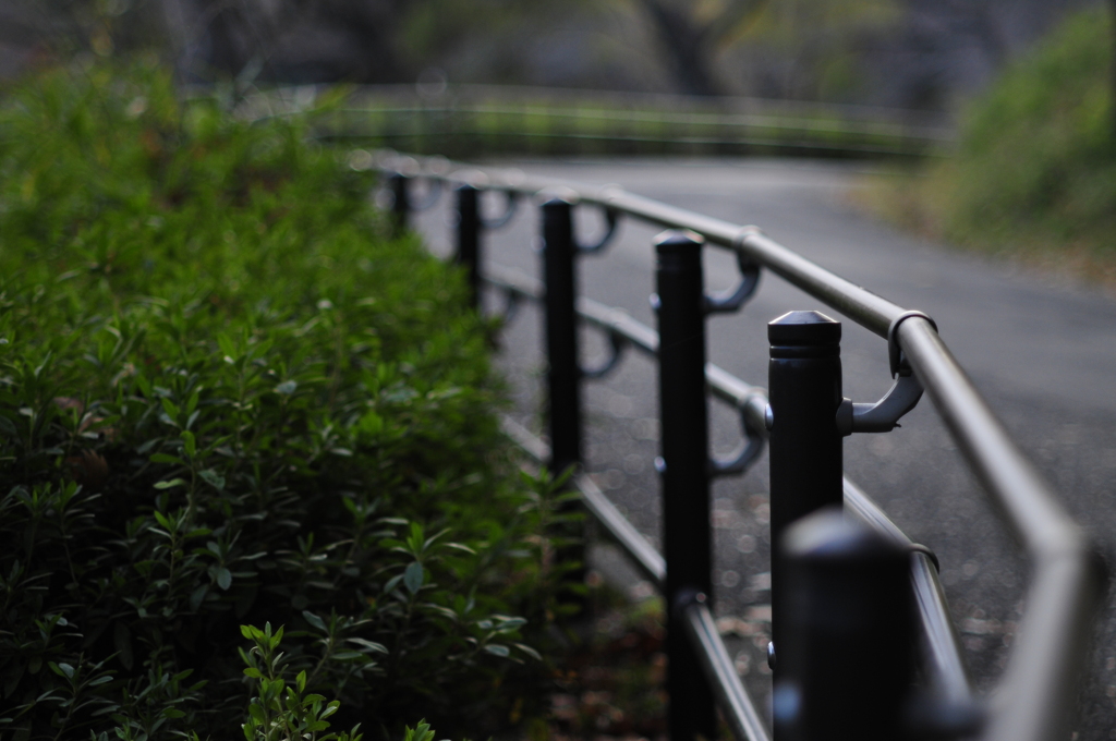 曇天 初冬の夕暮れ散歩