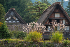 合掌の秋