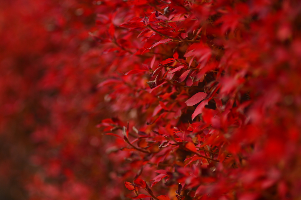 写真 クイズ？