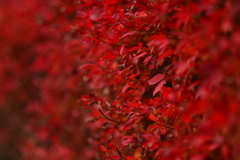 写真 クイズ？